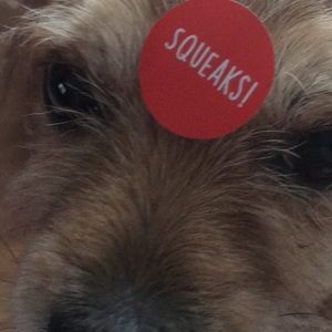 Meet your Posher, Crystal